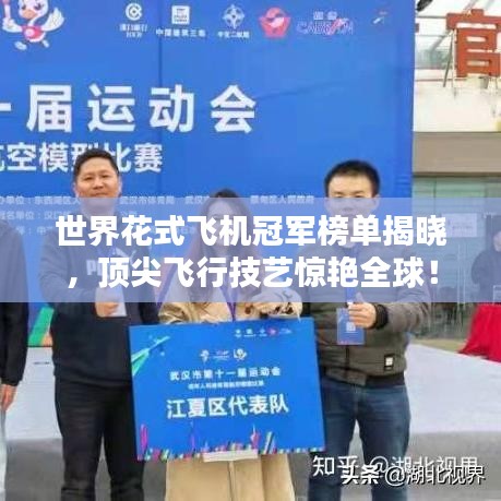 世界花式飛機(jī)冠軍榜單揭曉,頂尖飛行技藝驚艷全球!