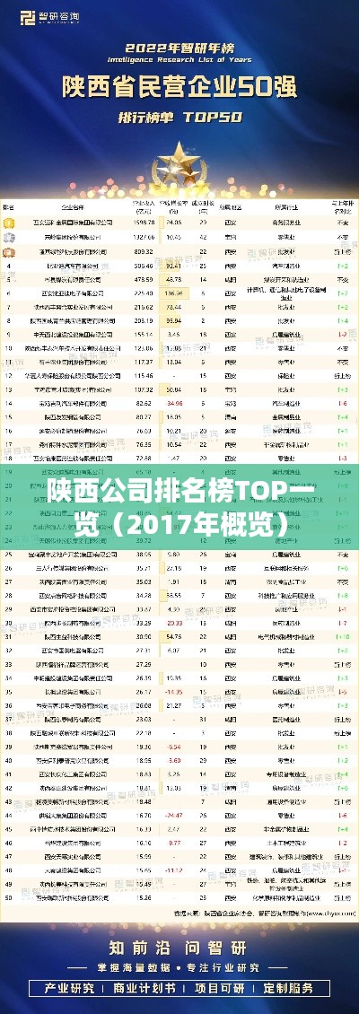 陜西公司排名榜TOP一覽（2017年概覽）