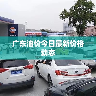 廣東油價今日最新價格動態