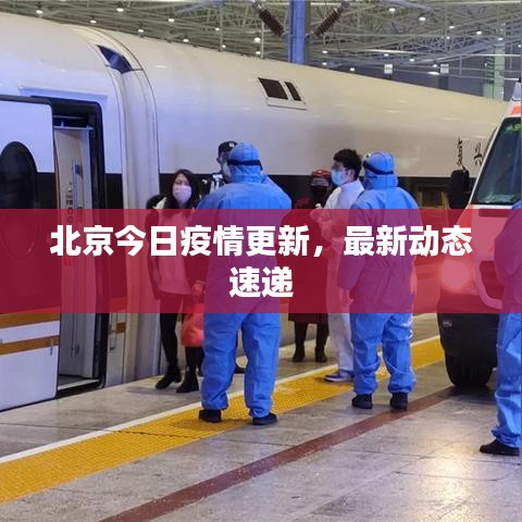 北京今日疫情更新,最新動態速遞