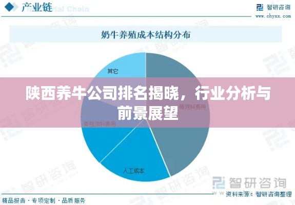 陜西養牛公司排名揭曉，行業分析與前景展望