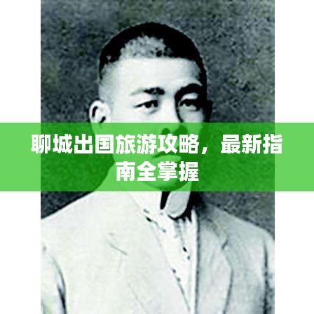 聊城出國旅游攻略，最新指南全掌握