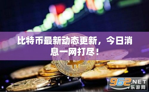 比特幣最新動態(tài)更新,今日消息一網(wǎng)打盡!
