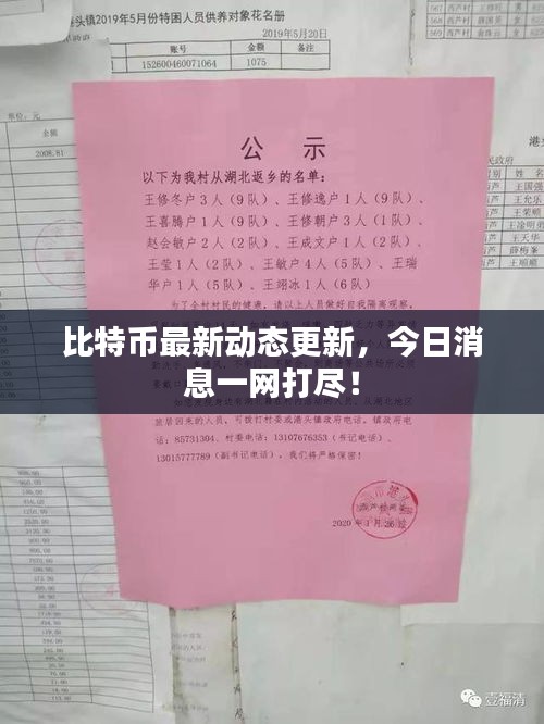 比特幣最新動態更新,今日消息一網打盡!