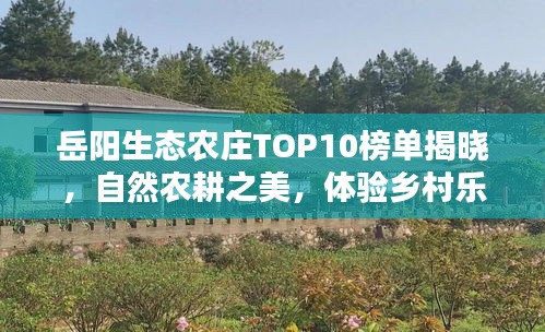 岳陽生態農莊TOP10榜單揭曉，自然農耕之美，體驗鄉村樂趣