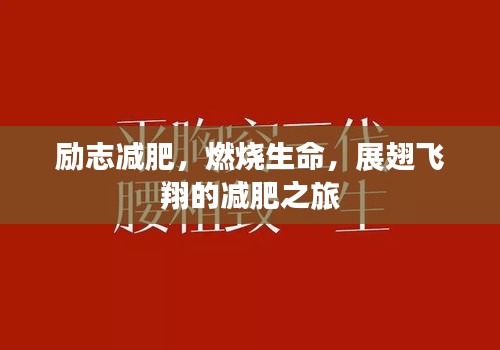 勵志減肥,燃燒生命,展翅飛翔的減肥之旅