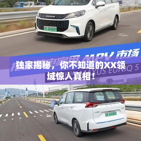 獨家揭秘，你不知道的XX領(lǐng)域驚人真相！