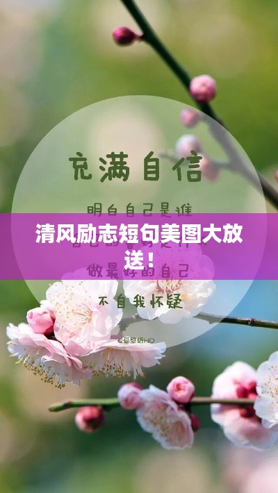 清風勵志短句美圖大放送！