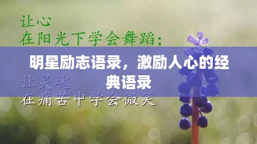 明星勵志語錄，激勵人心的經典語錄