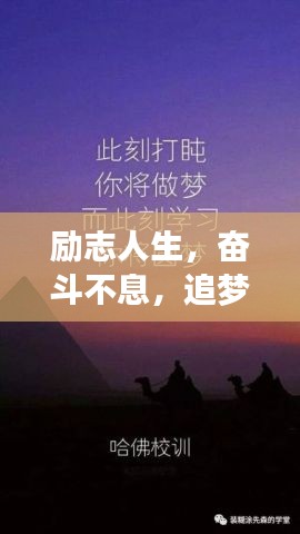 勵志人生,奮斗不息,追夢不止的語錄