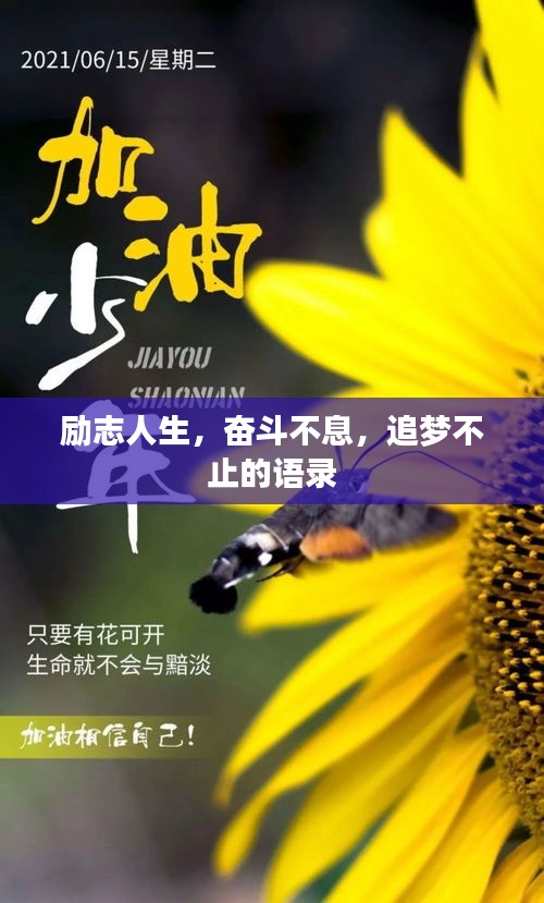 勵志人生,奮斗不息,追夢不止的語錄