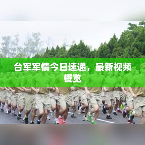 臺軍軍情今日速遞,最新視頻概覽
