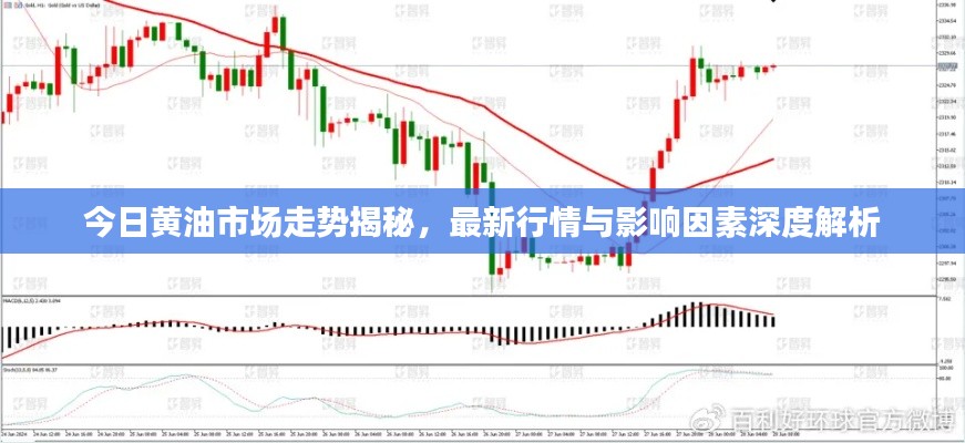 今日黃油市場走勢揭秘，最新行情與影響因素深度解析