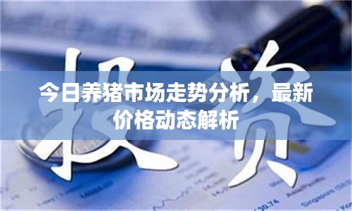 今日養(yǎng)豬市場走勢分析，最新價格動態(tài)解析