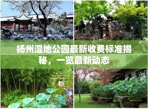 揚州濕地公園最新收費標準揭秘，一覽最新動態