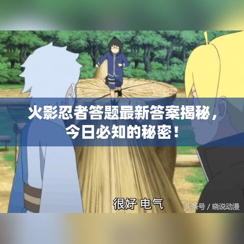火影忍者答題最新答案揭秘，今日必知的秘密！