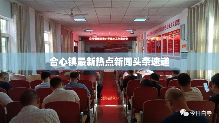合心鎮最新熱點新聞頭條速遞