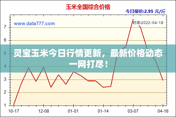 靈寶玉米今日行情更新,最新價格動態一網打盡!
