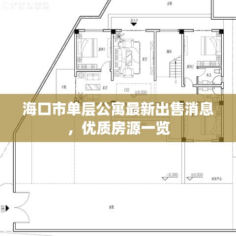 海口市單層公寓最新出售消息，優質房源一覽