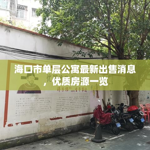 海口市單層公寓最新出售消息,優(yōu)質(zhì)房源一覽