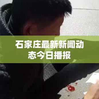 石家莊最新新聞動(dòng)態(tài)今日播報(bào)