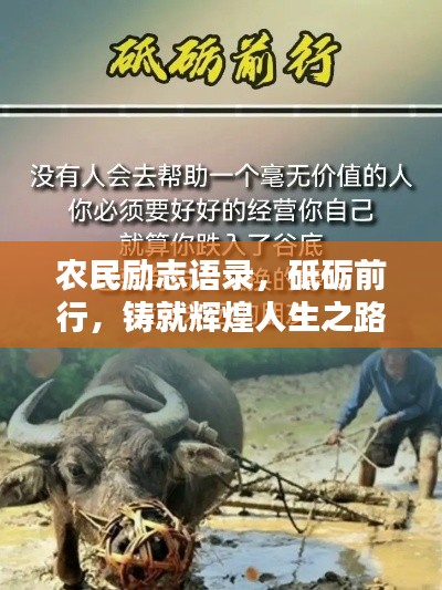 農民勵志語錄，砥礪前行，鑄就輝煌人生之路