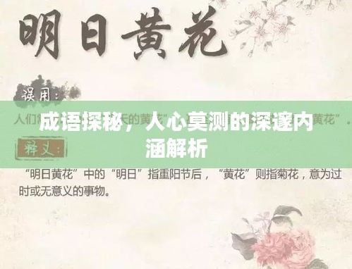 成語探秘,人心莫測的深邃內涵解析