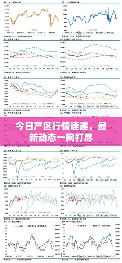 今日產區行情速遞，最新動態一網打盡
