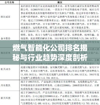 燃氣智能化公司排名揭秘與行業趨勢深度剖析