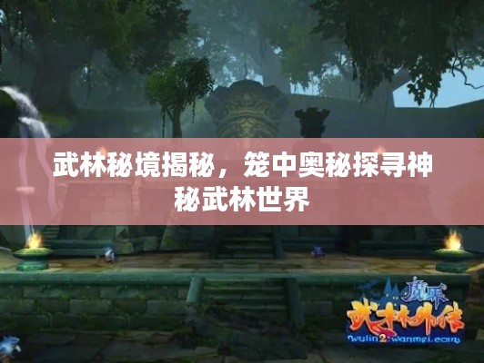 武林秘境揭秘,籠中奧秘探尋神秘武林世界