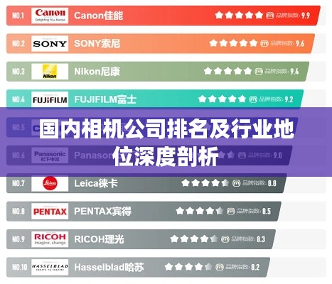 國內相機公司排名及行業地位深度剖析