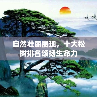 自然壯麗展現,十大松樹排名頌揚生命力