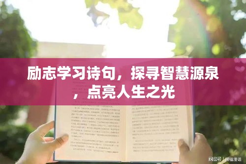 勵志學習詩句,探尋智慧源泉,點亮人生之光