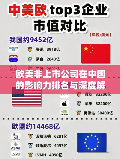 歐美非上市公司在中國的影響力排名與深度解析