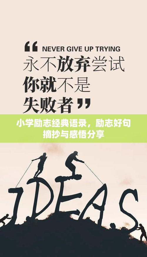 小學(xué)勵(lì)志經(jīng)典語(yǔ)錄,勵(lì)志好句摘抄與感悟分享