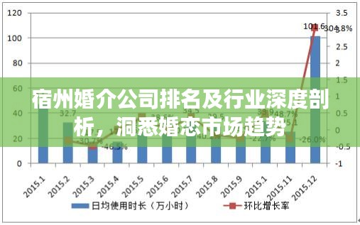 宿州婚介公司排名及行業深度剖析，洞悉婚戀市場趨勢