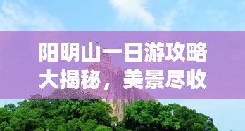 陽明山一日游攻略大揭秘，美景盡收眼底！