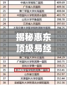 揭秘惠東頂級易經大師榜單,十大高人排名解析