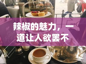 辣椒的魅力，一道讓人欲罷不能的美食探索之旅！