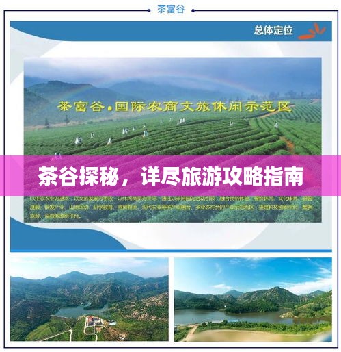 茶谷探秘,詳盡旅游攻略指南