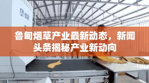 魯甸煙草產業最新動態，新聞頭條揭秘產業新動向