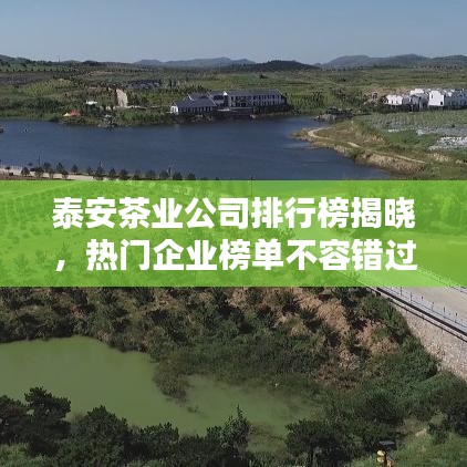 泰安茶業公司排行榜揭曉,熱門企業榜單不容錯過!