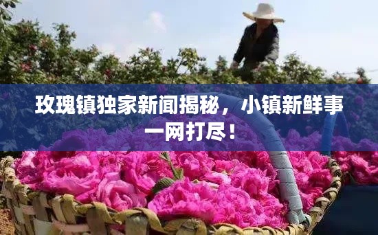 玫瑰鎮獨家新聞揭秘，小鎮新鮮事一網打盡！