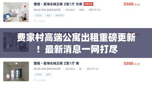 費家村高端公寓出租重磅更新!最新消息一網(wǎng)打盡