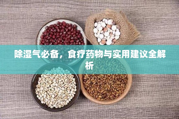 除濕氣必備，食療藥物與實(shí)用建議全解析