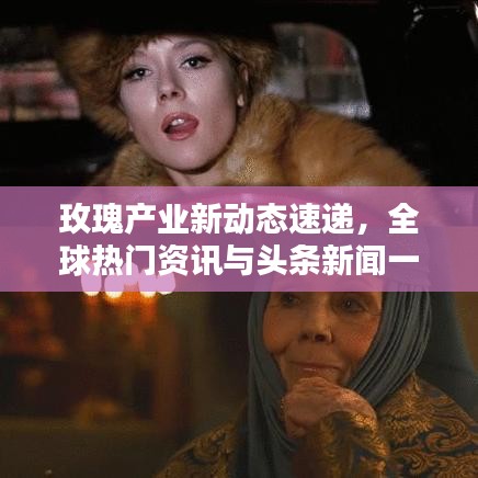 玫瑰產(chǎn)業(yè)新動(dòng)態(tài)速遞，全球熱門資訊與頭條新聞一網(wǎng)打盡