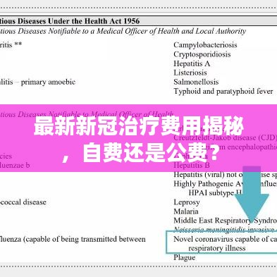 最新新冠治療費用揭秘,自費還是公費?