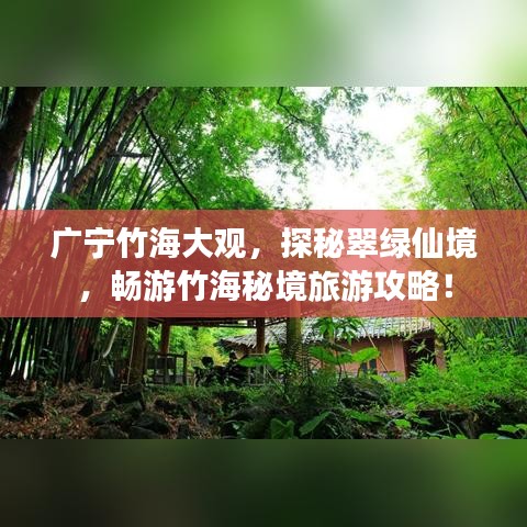 廣寧竹海大觀，探秘翠綠仙境，暢游竹海秘境旅游攻略！