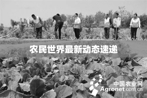 農(nóng)民世界最新動態(tài)速遞