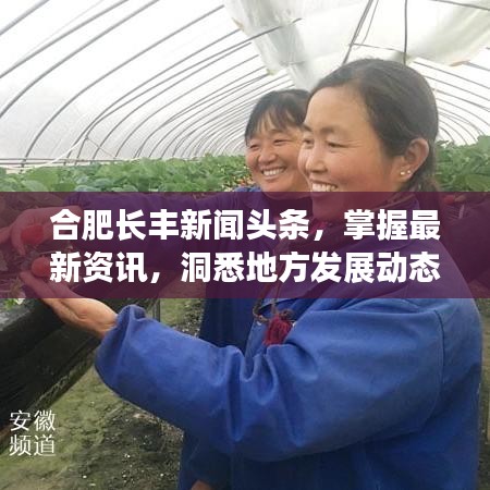 合肥長豐新聞頭條,掌握最新資訊,洞悉地方發展動態